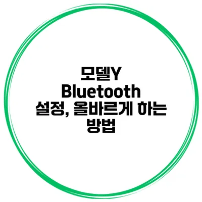 모델Y Bluetooth 설정, 올바르게 하는 방법