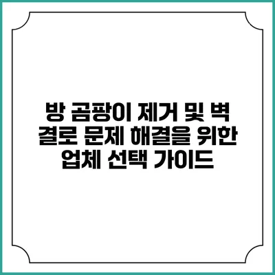방 곰팡이 제거 및 벽 결로 문제 해결을 위한 업체 선택 가이드