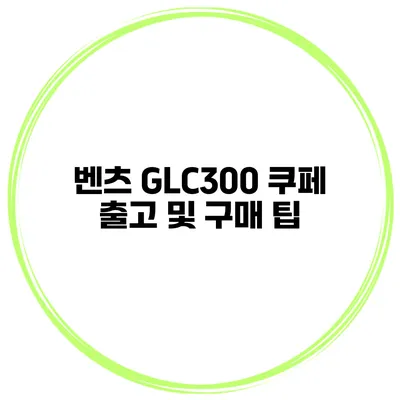 벤츠 GLC300 쿠페 출고 및 구매 팁