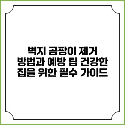 벽지 곰팡이 제거 방법과 예방 팁: 건강한 집을 위한 필수 가이드