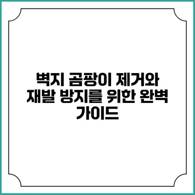 벽지 곰팡이 제거와 재발 방지를 위한 완벽 가이드