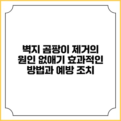 벽지 곰팡이 제거의 원인 없애기: 효과적인 방법과 예방 조치