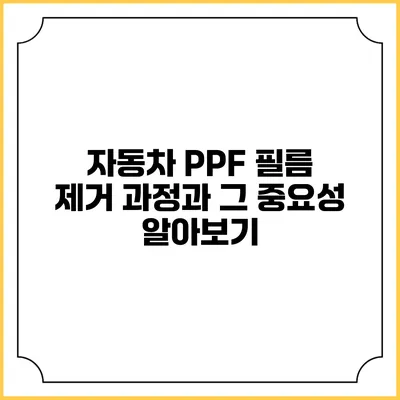 자동차 PPF 필름 제거 과정과 그 중요성 알아보기