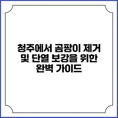 청주에서 곰팡이 제거 및 단열 보강을 위한 완벽 가이드