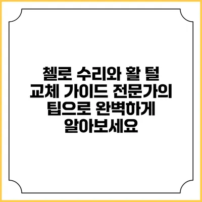 첼로 수리와 활 털 교체 가이드: 전문가의 팁으로 완벽하게 알아보세요