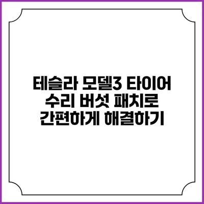 테슬라 모델3 타이어 수리: 버섯 패치로 간편하게 해결하기