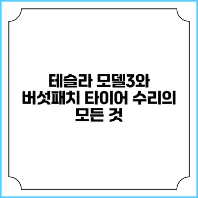 테슬라 모델3와 버섯패치 타이어 수리의 모든 것