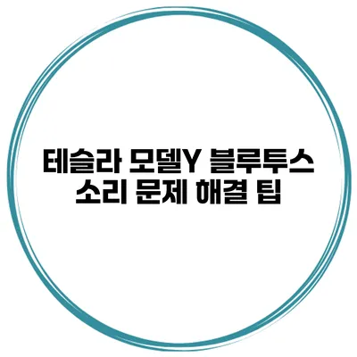 테슬라 모델Y 블루투스 소리 문제 해결 팁
