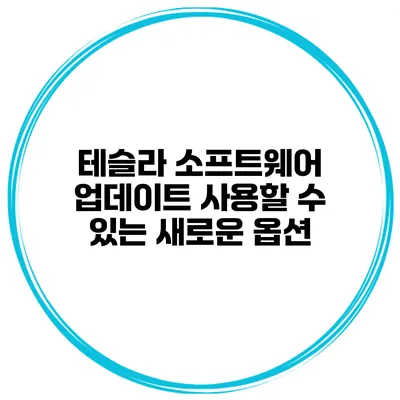 테슬라 소프트웨어 업데이트 사용할 수 있는 새로운 옵션