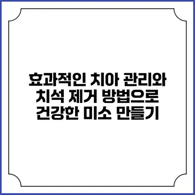 효과적인 치아 관리와 치석 제거 방법으로 건강한 미소 만들기