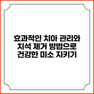 효과적인 치아 관리와 치석 제거 방법으로 건강한 미소 지키기